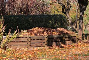 dumpsters for yard waste