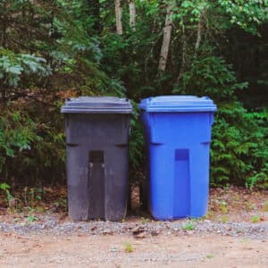 city trash services vs dumpsters