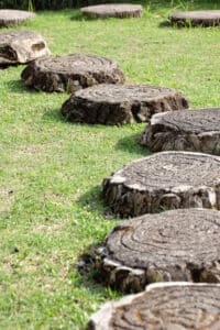stumps and cleaning yard